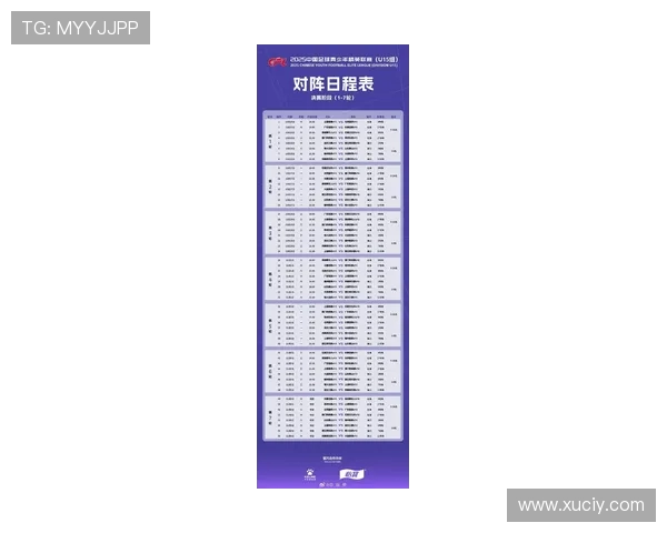 2025 中青赛沈阳赛区 U10-U15 组赛前联席会召开 俱乐部组赛事筹备进入冲刺阶段